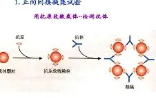 九游体育下载-包含?j?B?膞蹶Y/客襜0罕}?6槱???E	籑vLP現aT钄?宍^趂?€e?蔡Rjh?